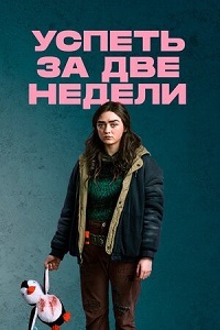 Успеть за две недели 1 сезон (2020)