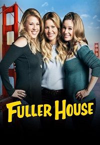 Более полный дом 1,2,3,4,5 сезон (2016)