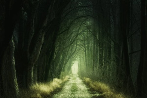 Таинственный лес фентези